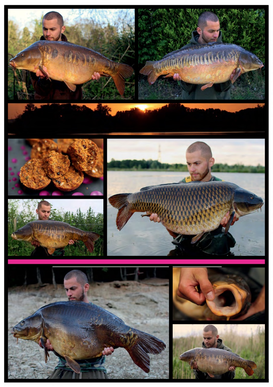 Crafty Carper Preview Pages