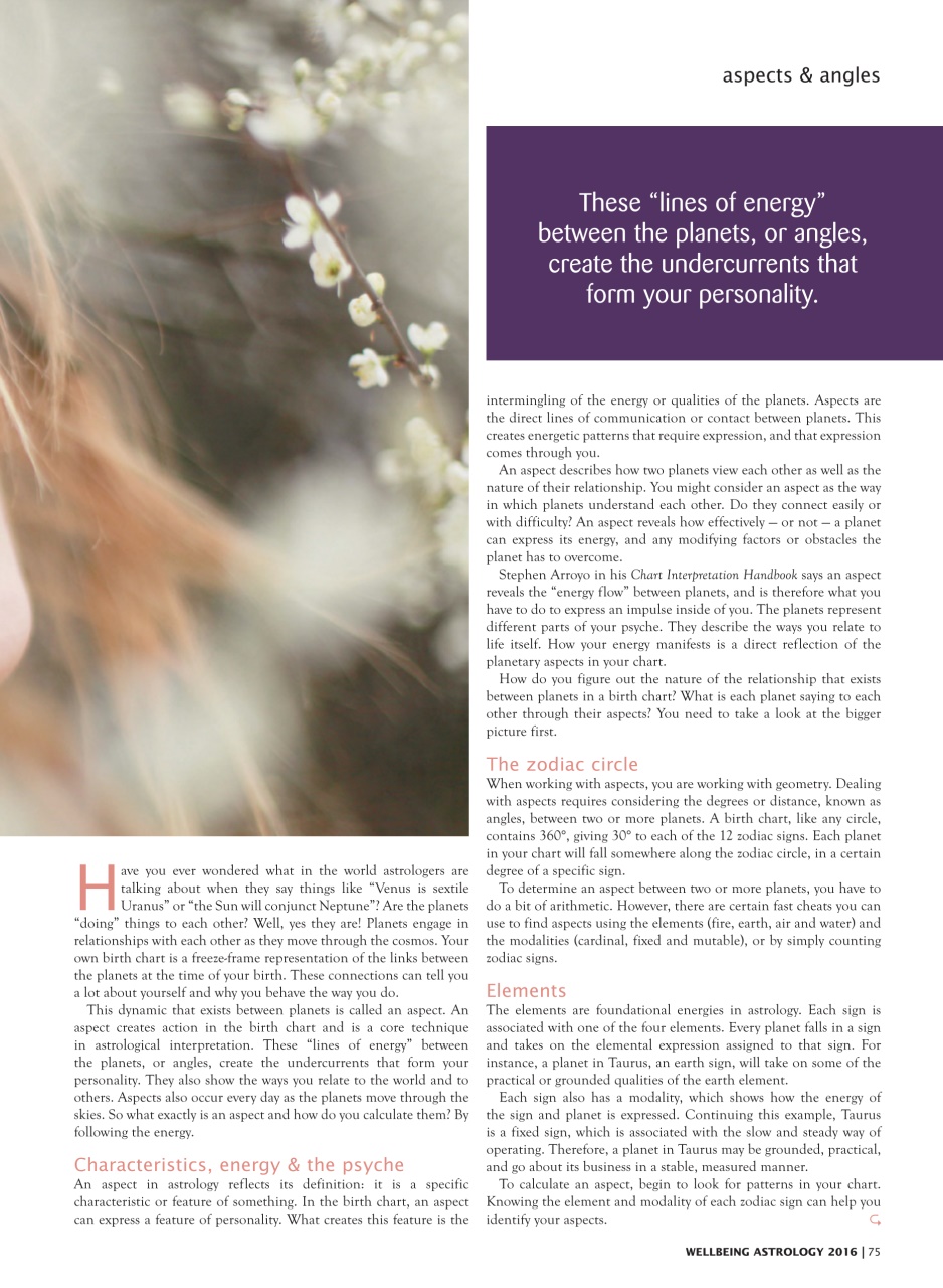 WellBeing For Life Preview Pages