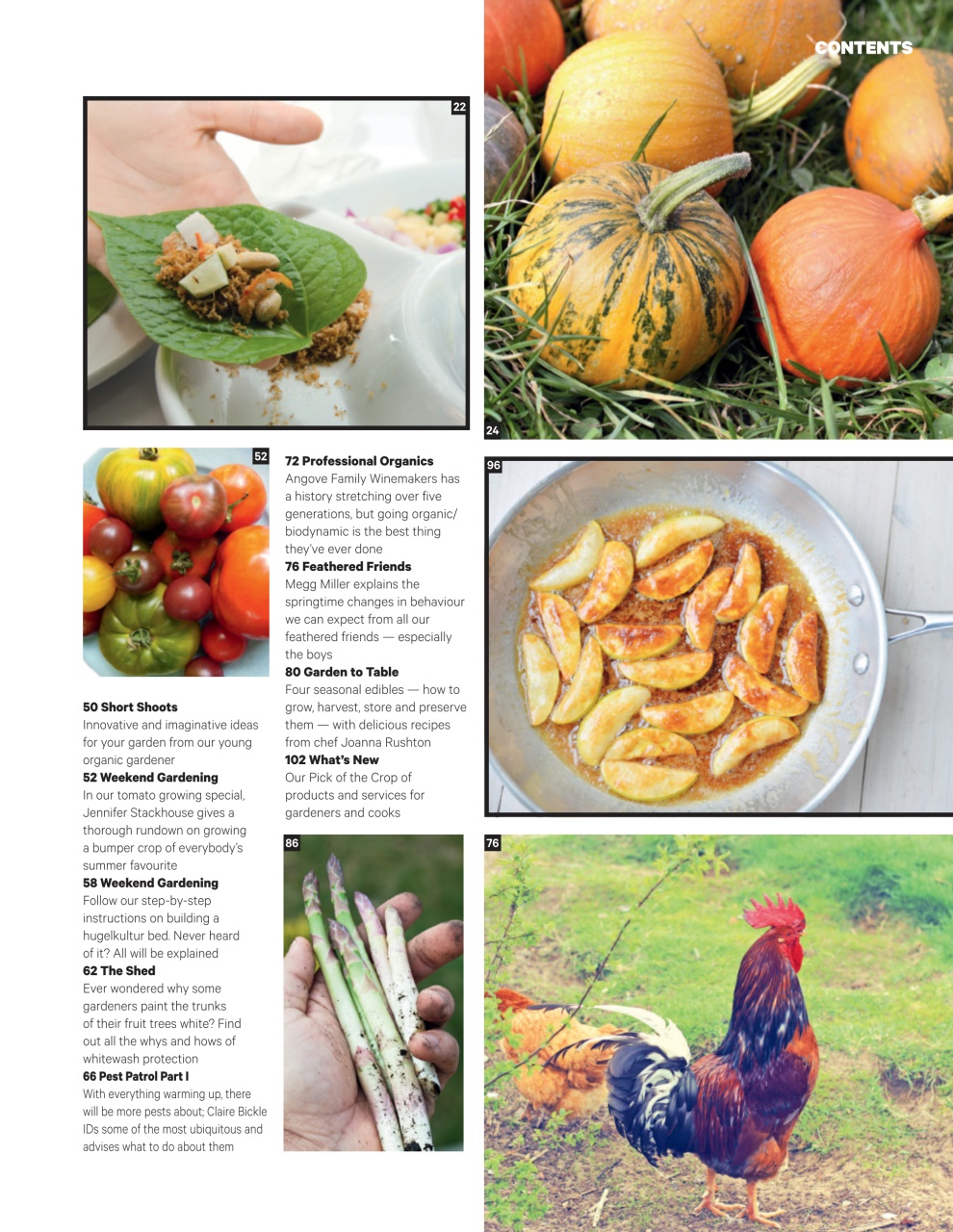 Good Organic Gardening Preview Pages