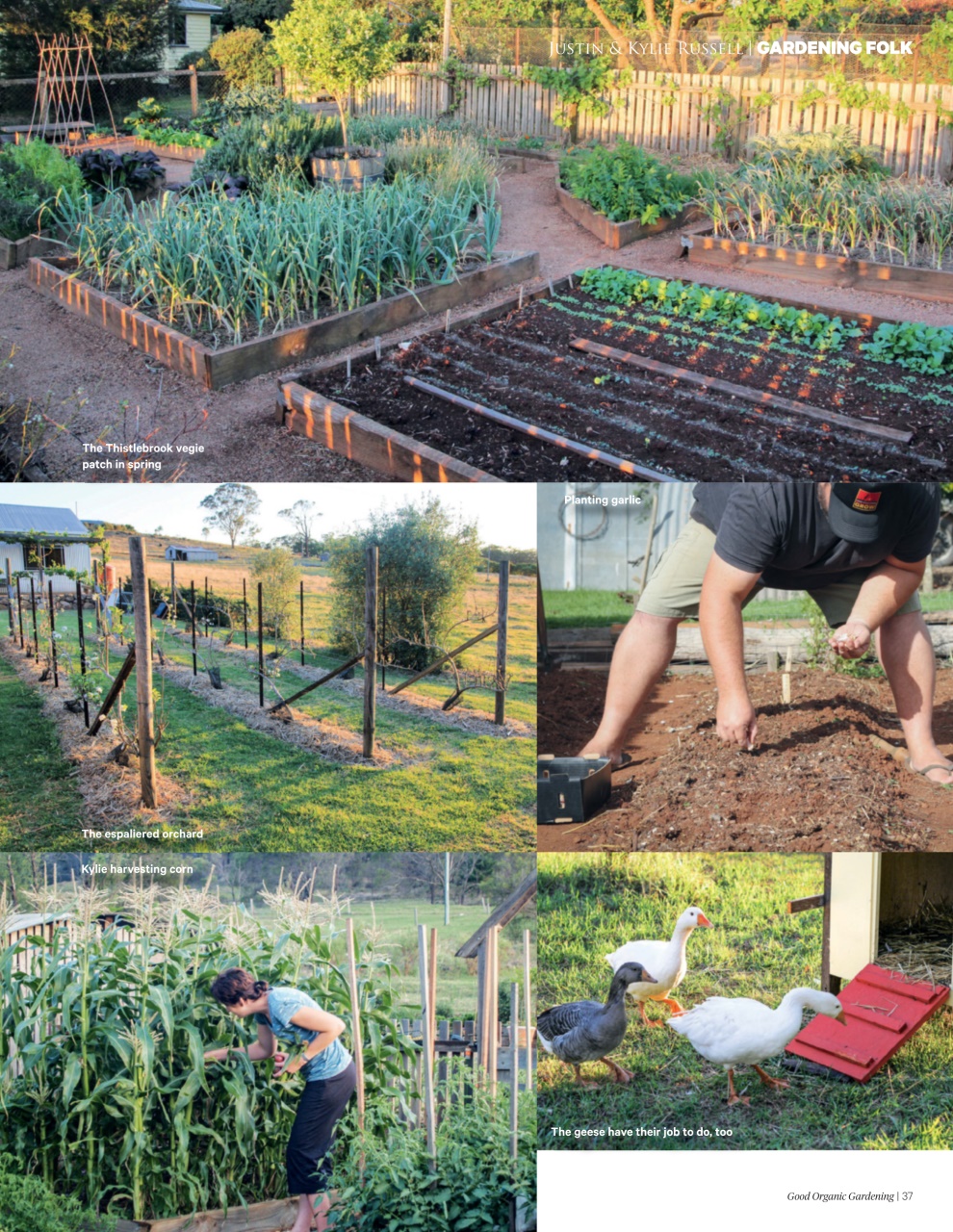 Good Organic Gardening Preview Pages
