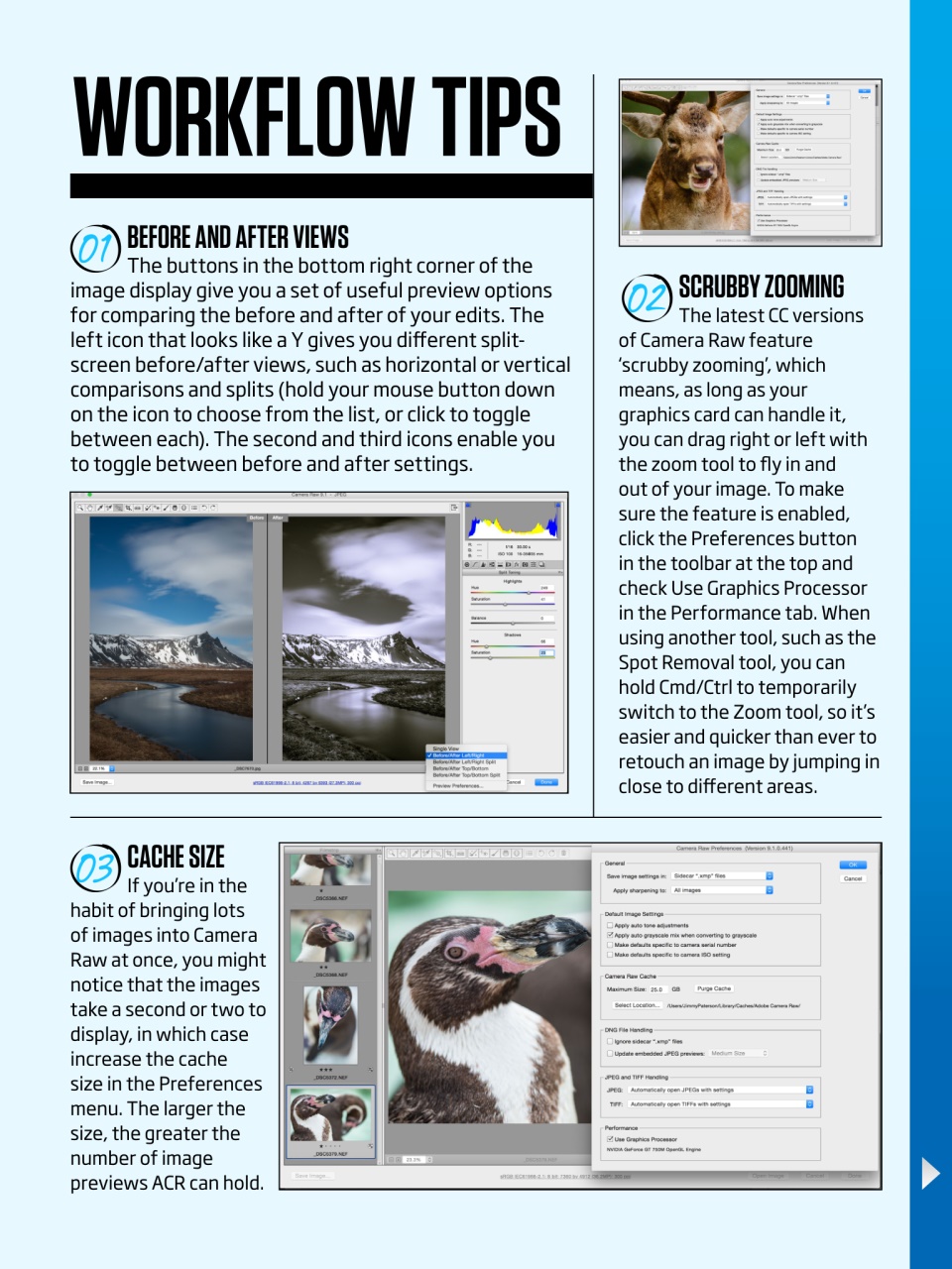 Practical Photoshop Preview Pages