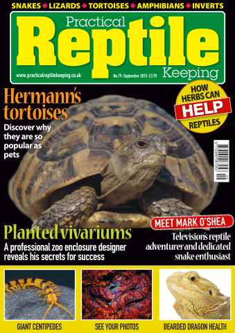 Practical Reptile Keeping issue No. 79 Hermann's tortoises