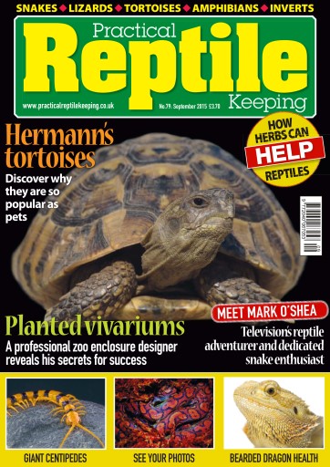 Practical Reptile Keeping issue 