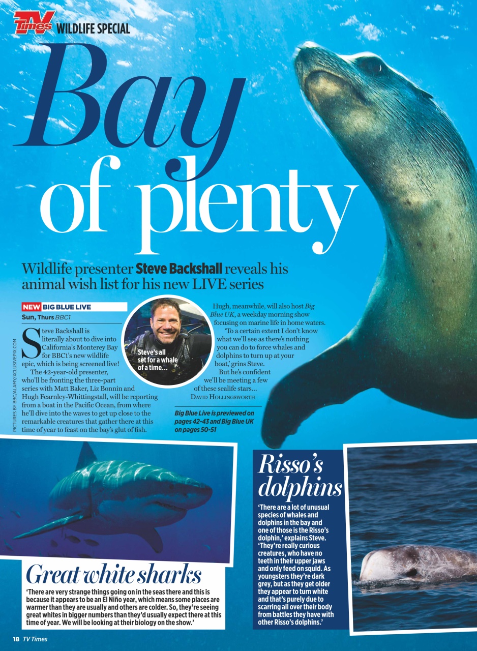 TV Times Preview Pages