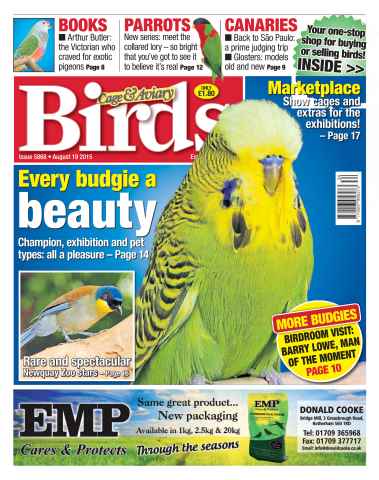 Cage & Aviary Birds issue No. 5868 Every budgie a beauty