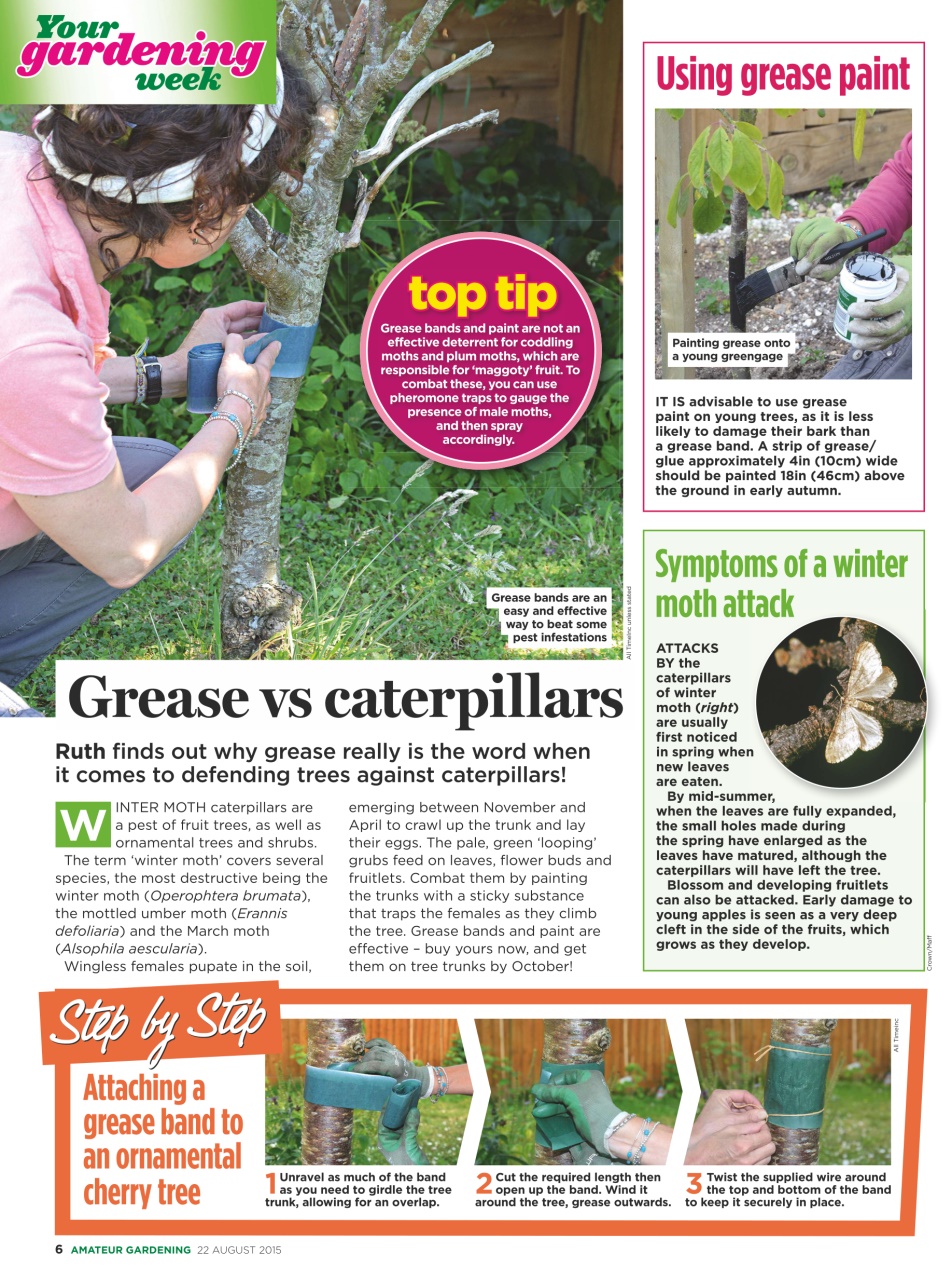 Amateur Gardening Preview Pages