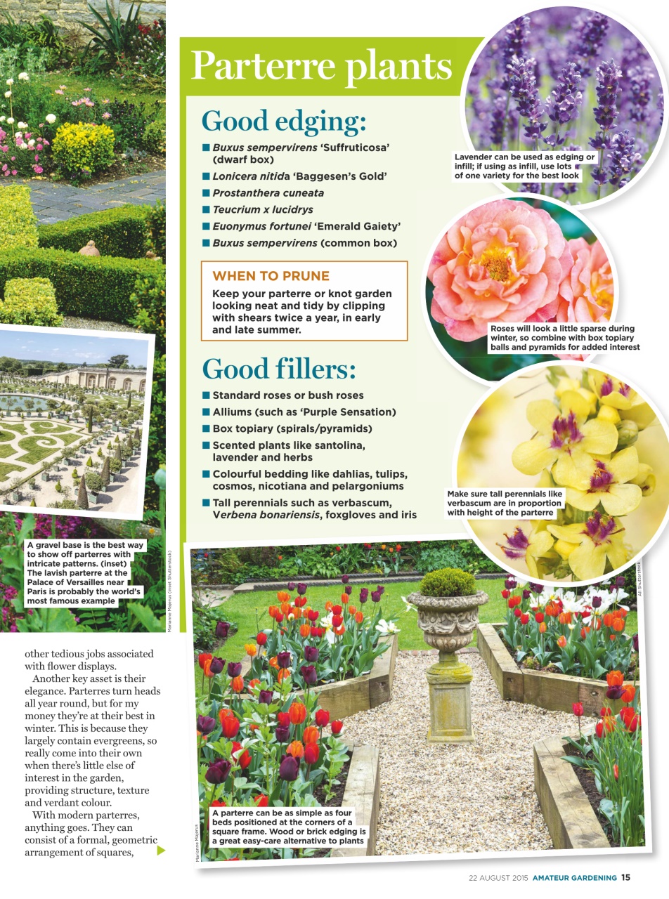 Amateur Gardening Preview Pages
