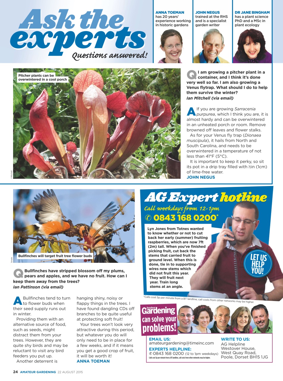 Amateur Gardening Preview Pages