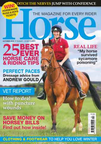 Horse issue October 2015