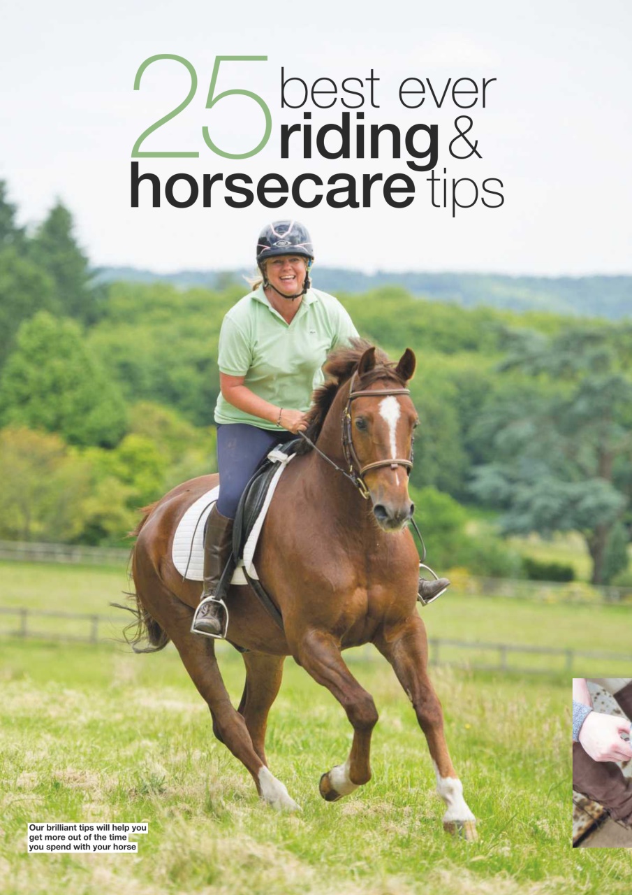 Horse Preview Pages