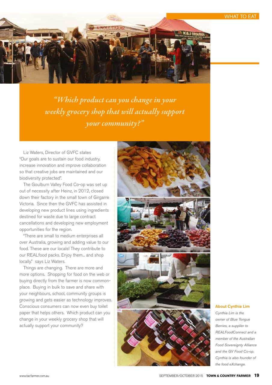 Town And Country Farmer Preview Pages