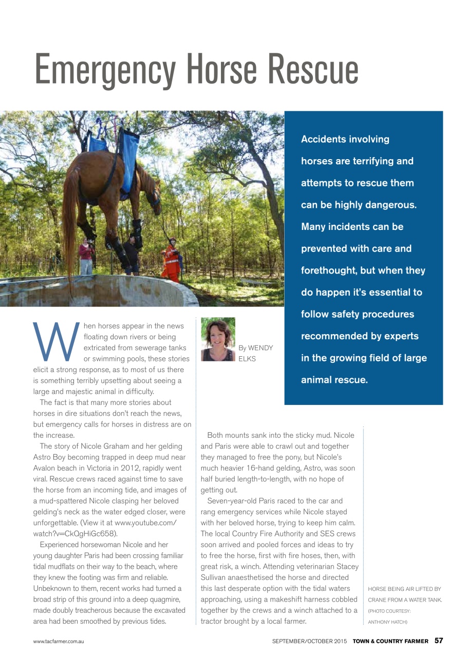 Town And Country Farmer Preview Pages