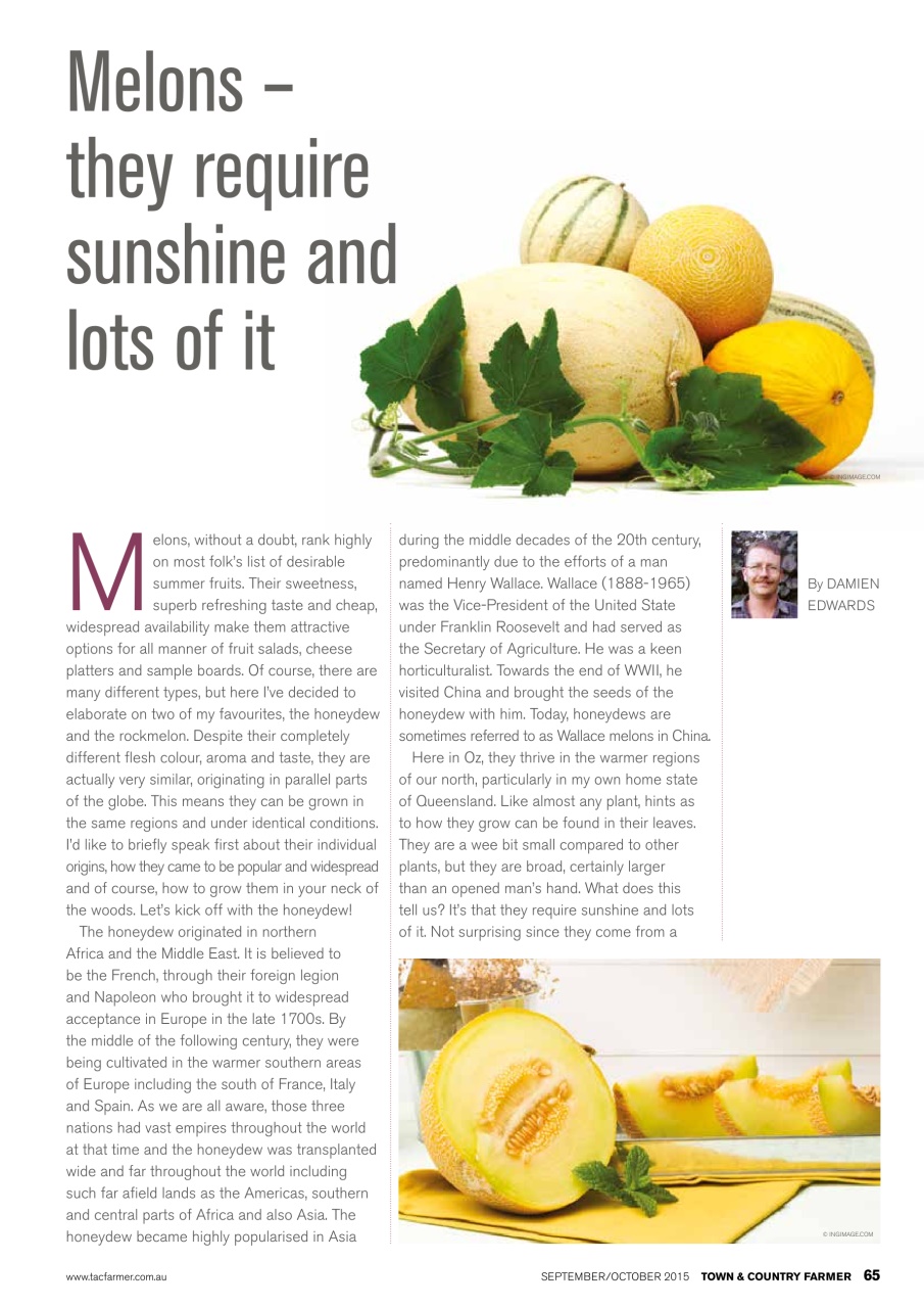 Town And Country Farmer Preview Pages