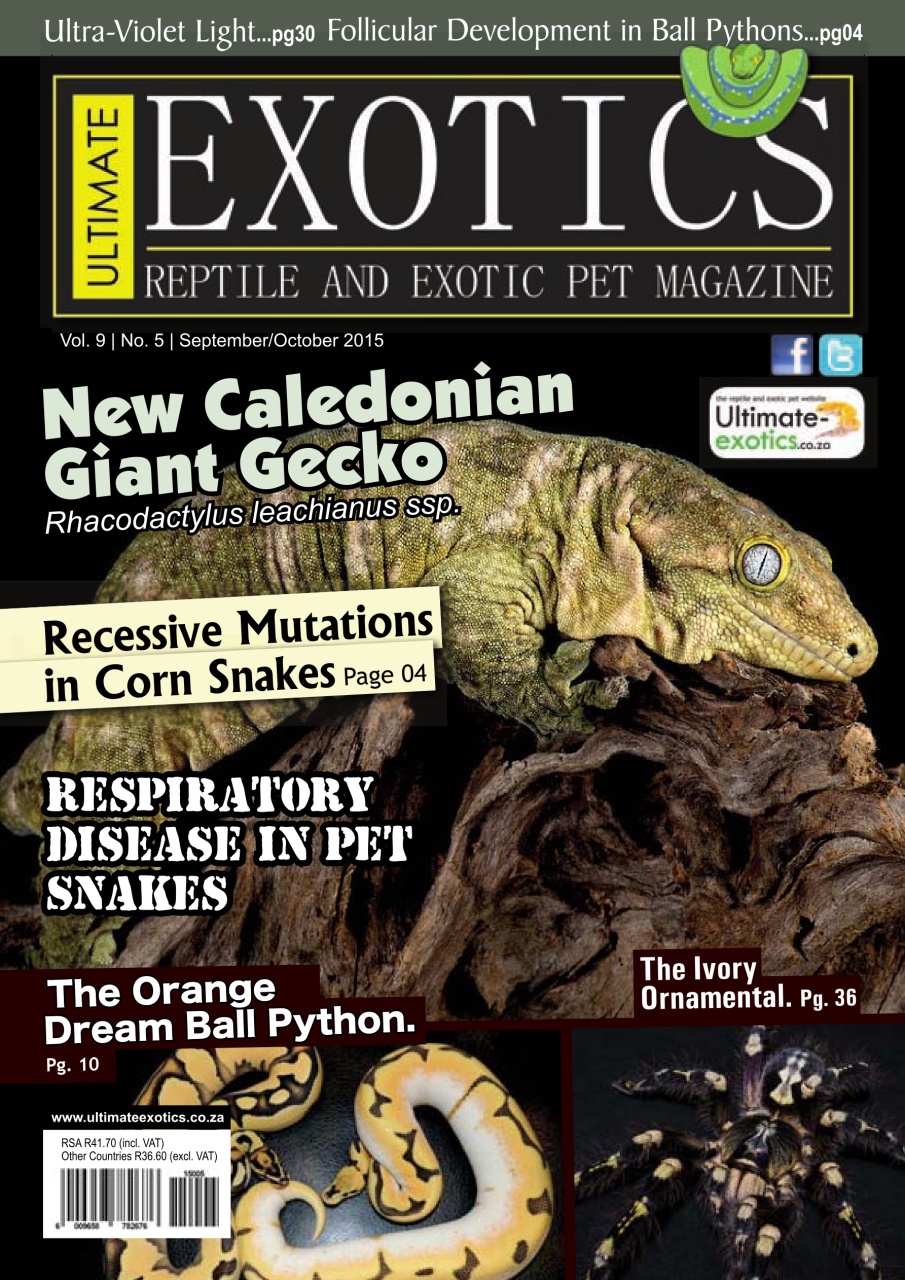 Ultimate Exotics Preview Pages