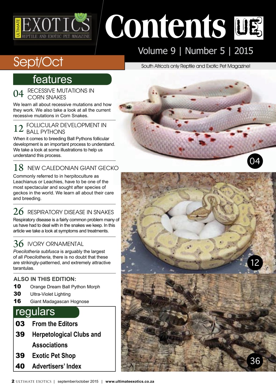 Ultimate Exotics Preview Pages