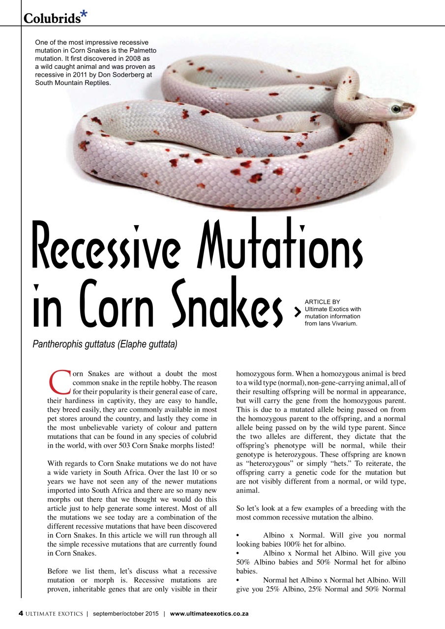 Ultimate Exotics Preview Pages