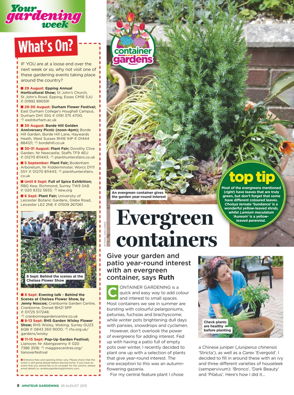 Amateur Gardening Preview Pages