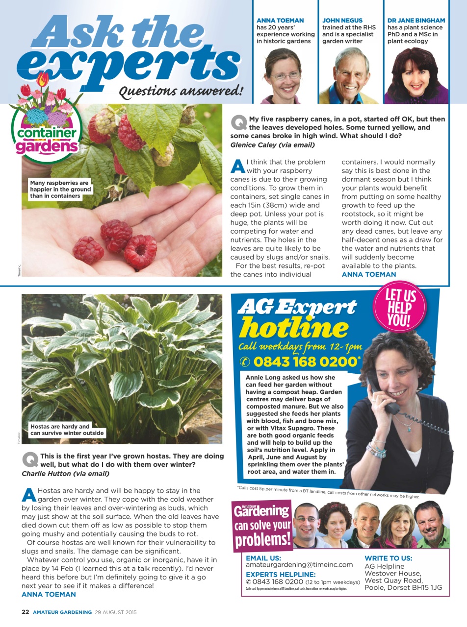Amateur Gardening Preview Pages