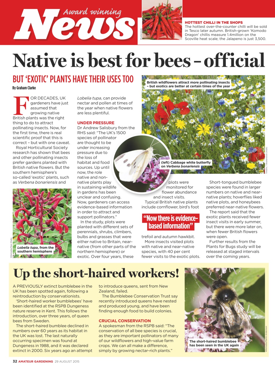 Amateur Gardening Preview Pages