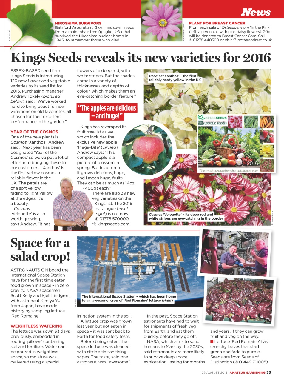 Amateur Gardening Preview Pages