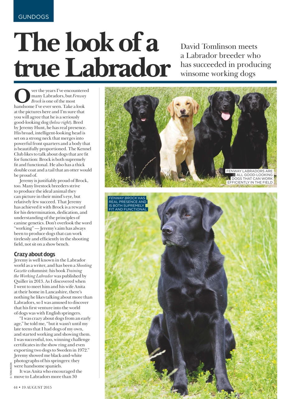 Shooting Times & Country Preview Pages