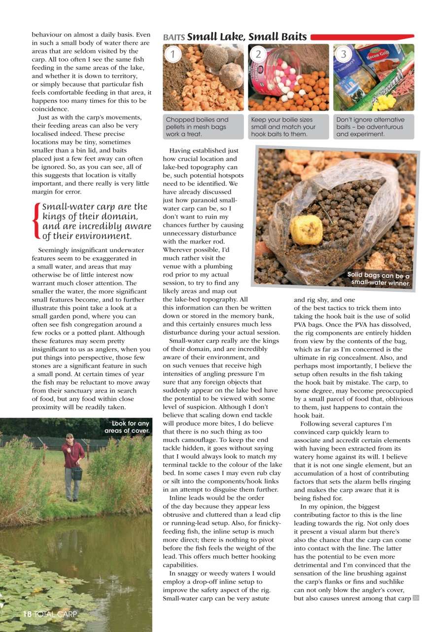 Total Carp Preview Pages