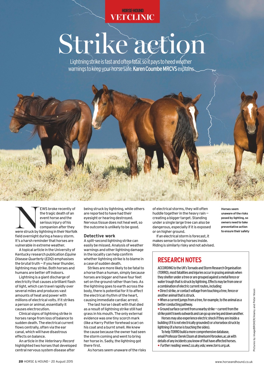 Horse & Hound Preview Pages