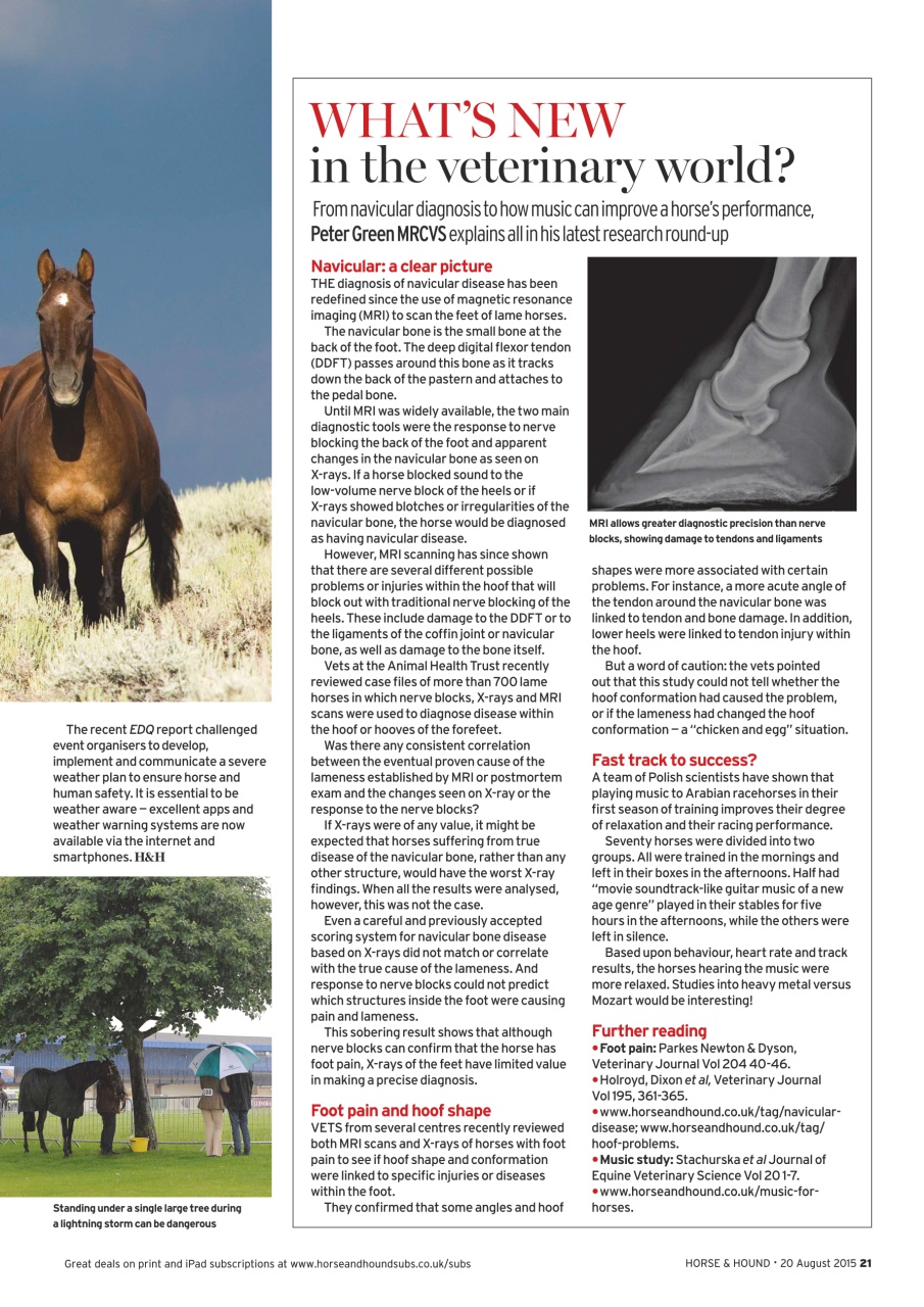 Horse & Hound Preview Pages