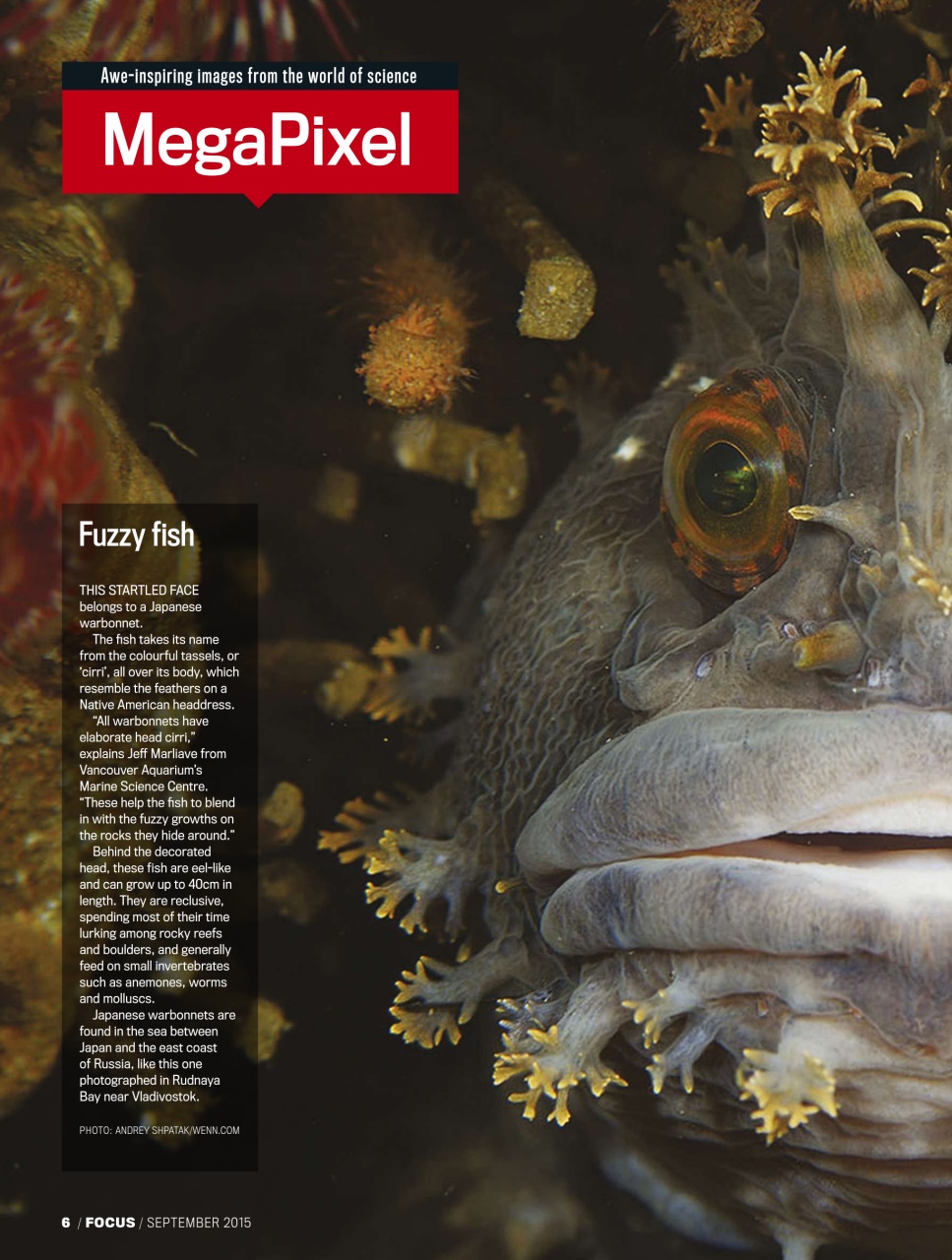BBC Science Focus Magazine Preview Pages