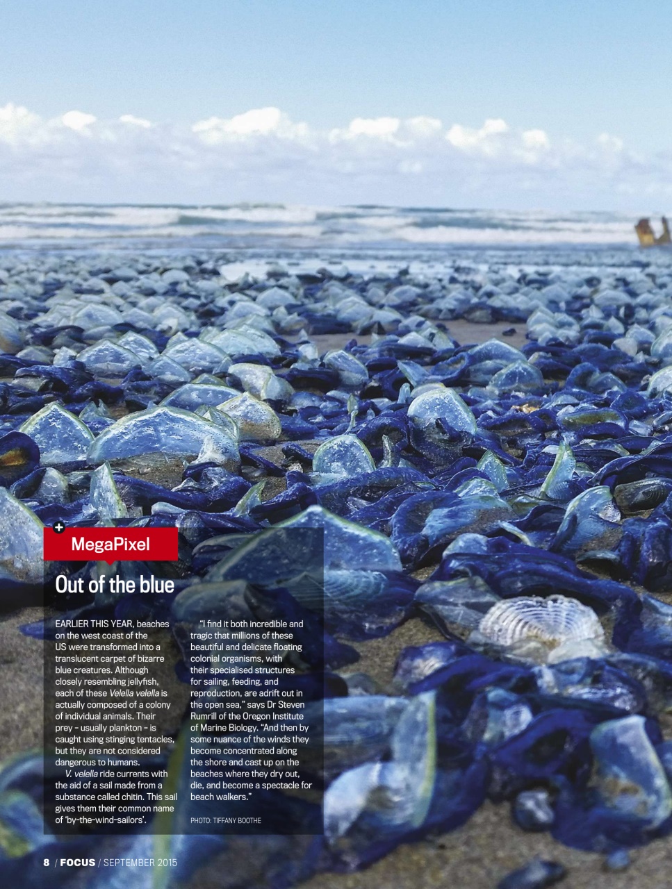 BBC Science Focus Magazine Preview Pages