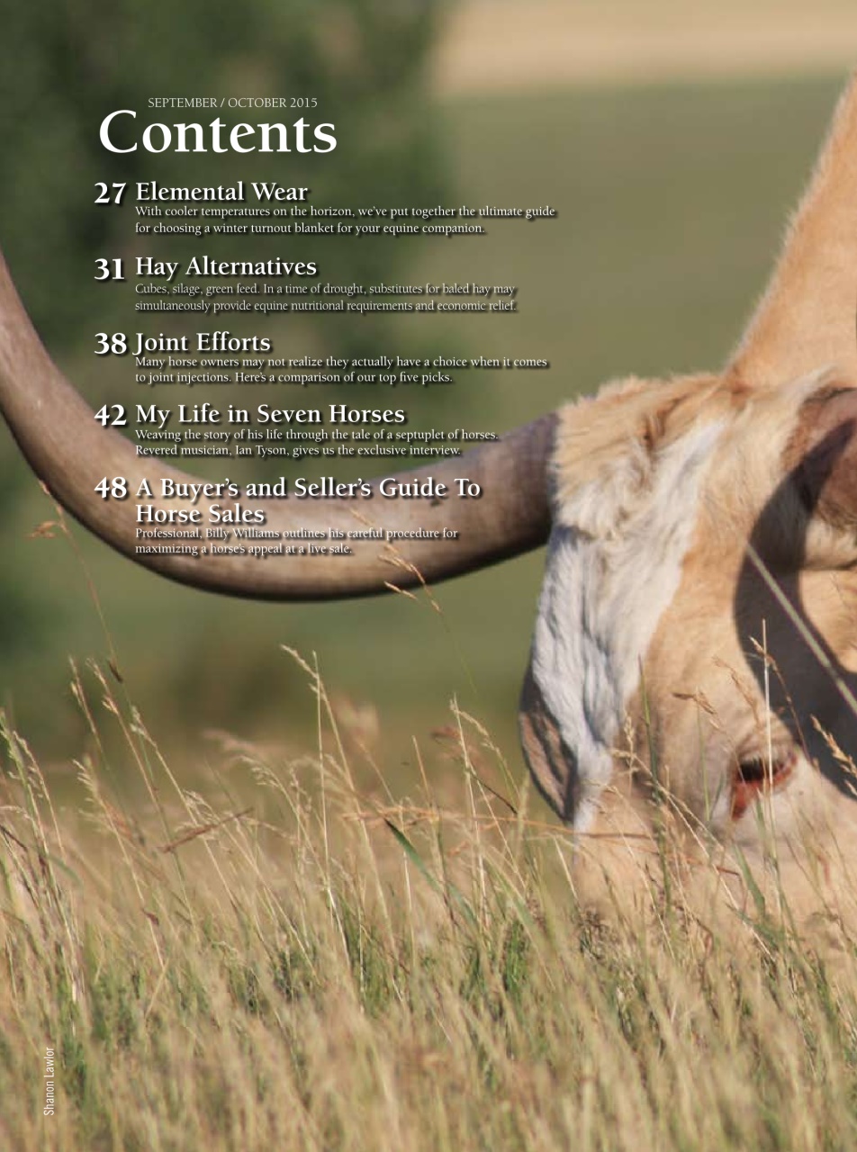 Western Horse Review Preview Pages