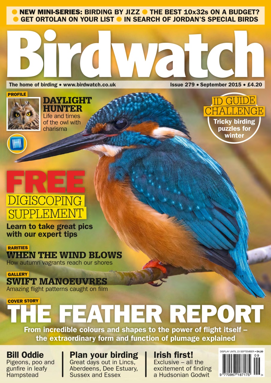 Birdwatch Magazine Preview Pages