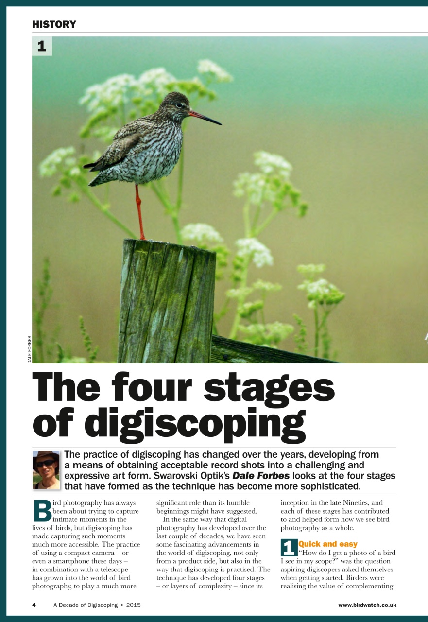 Birdwatch Magazine Preview Pages