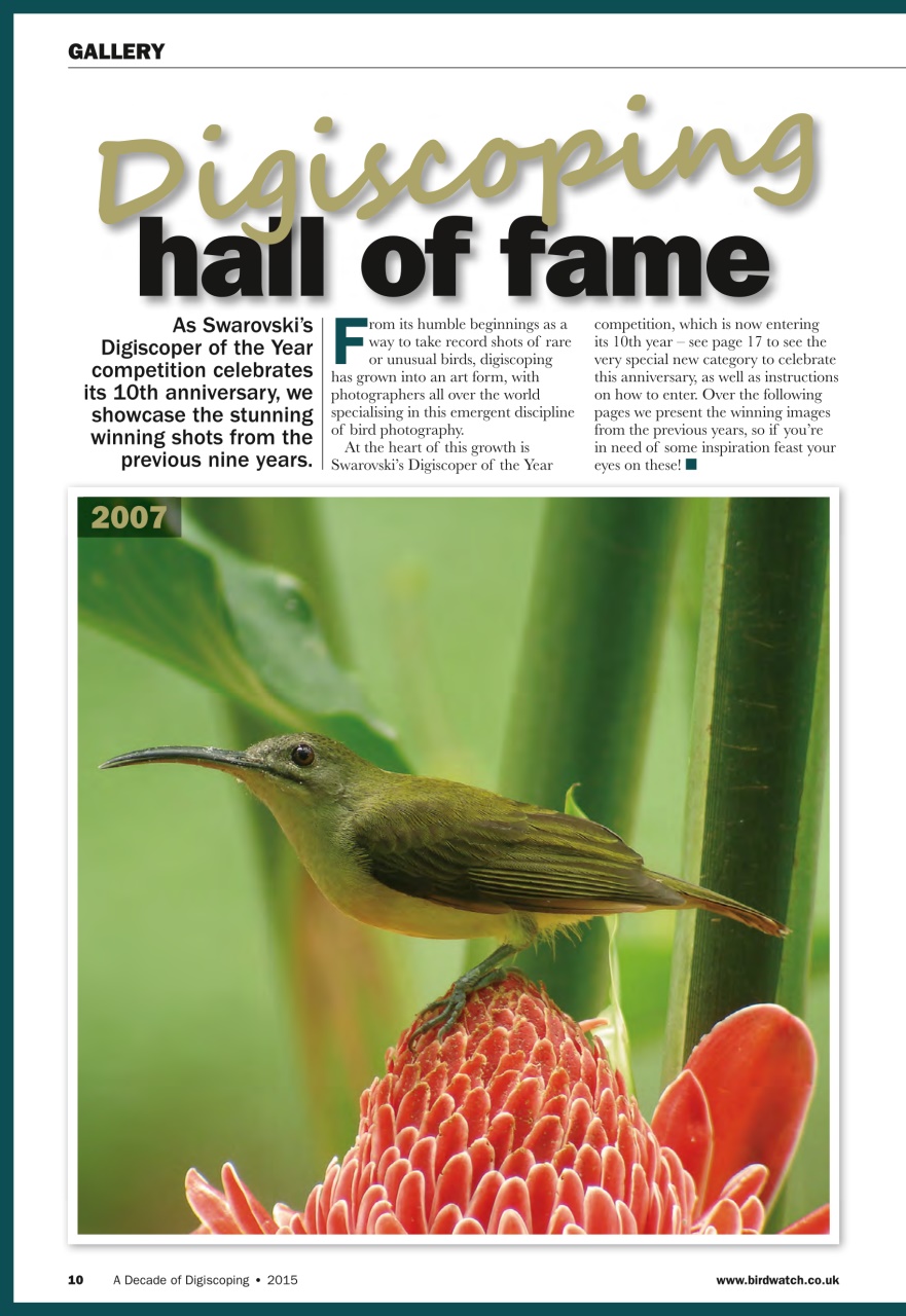 Birdwatch Magazine Preview Pages