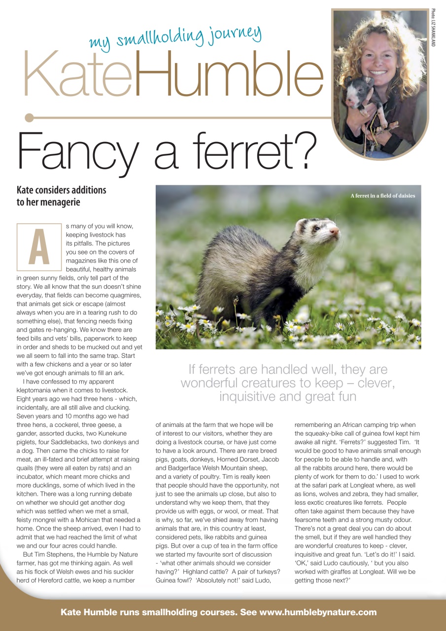 The Country Smallholder Preview Pages