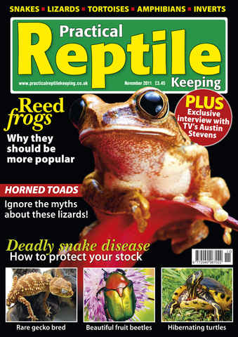 Practical Reptile Keeping issue No.30 Reed Frogs