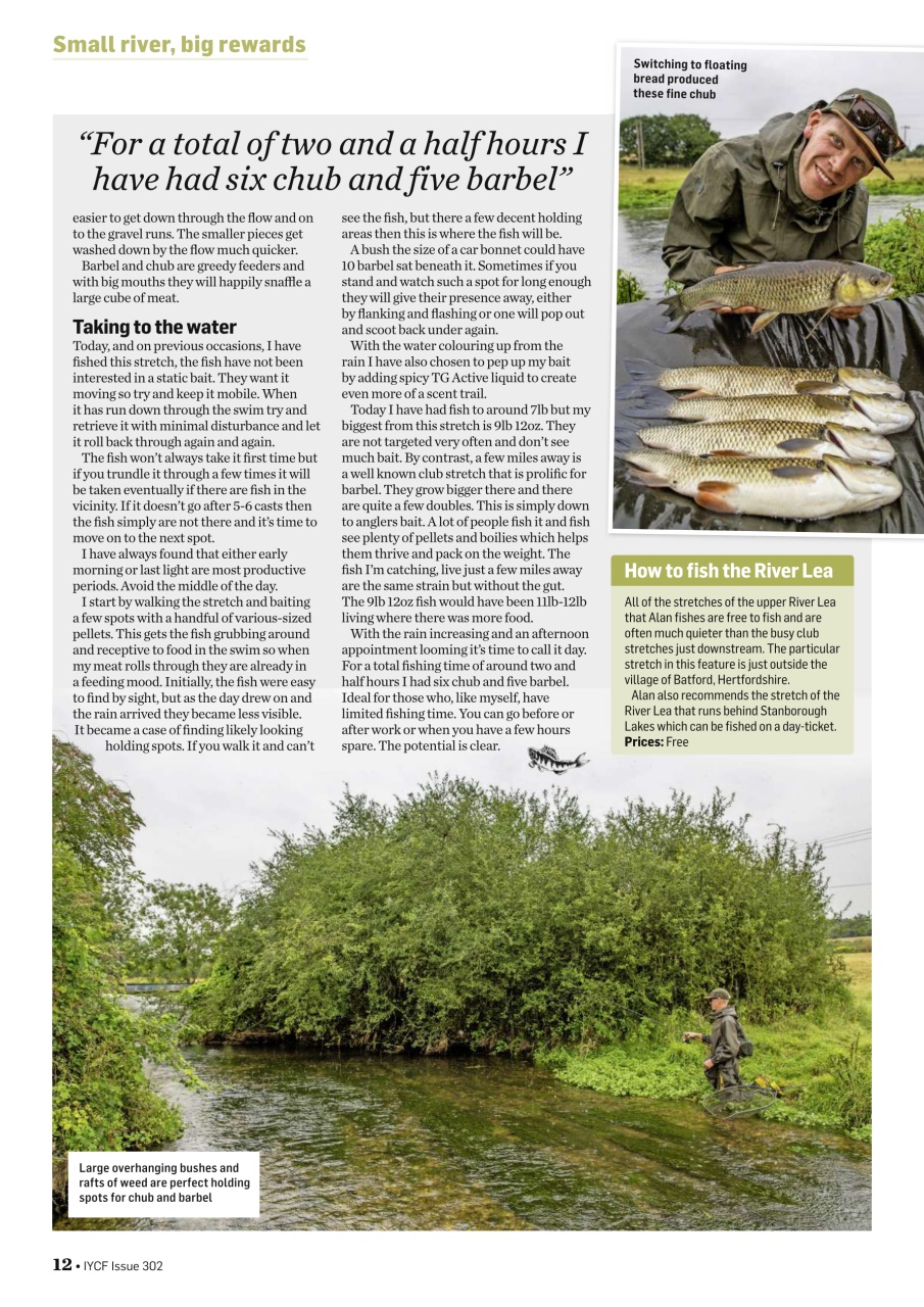 Improve Your Coarse Fishing Preview Pages