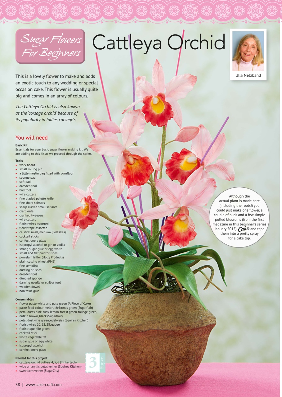 Cake Decoration & Sugarcraft Magazine Preview Pages