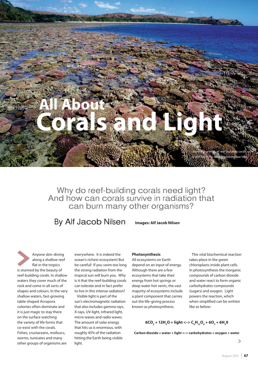 UltraMarine Magazine Preview Pages
