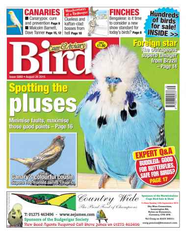 Cage & Aviary Birds issue No. 5869 Spotting the pluses