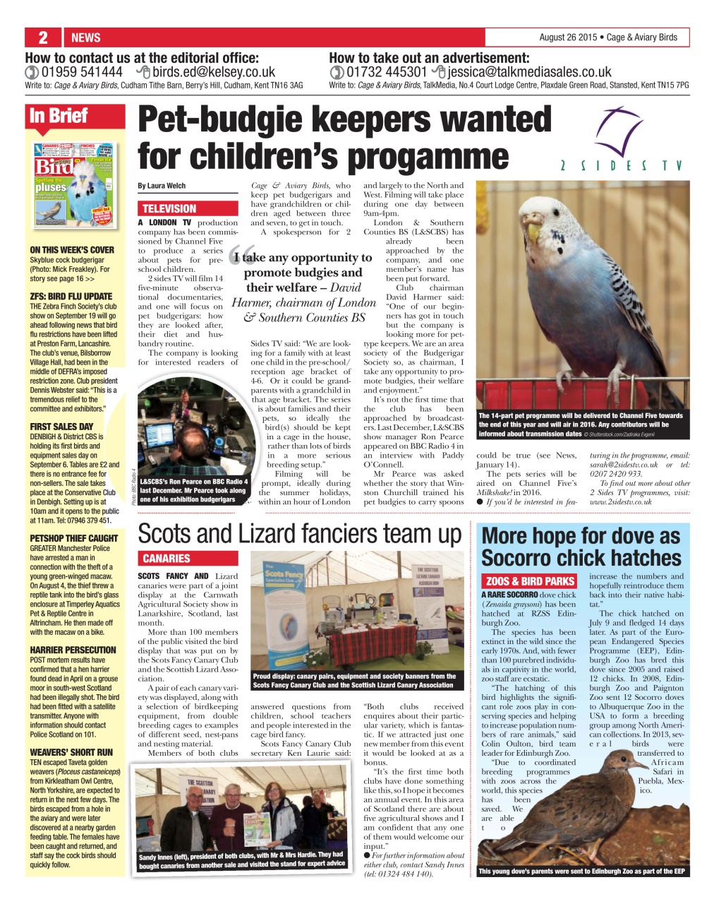 Cage & Aviary Birds Preview Pages