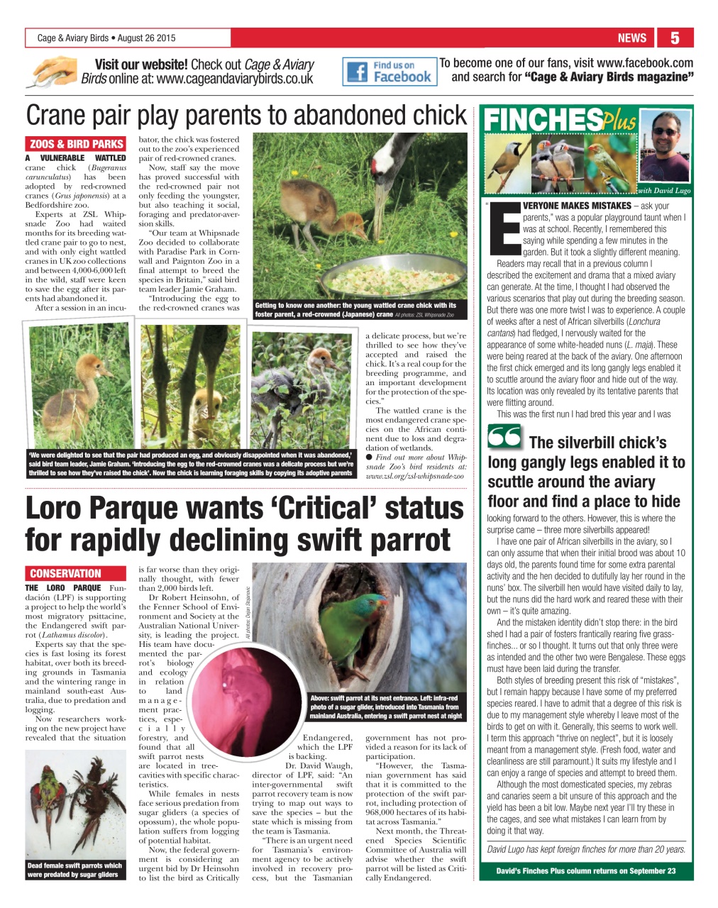 Cage & Aviary Birds Preview Pages