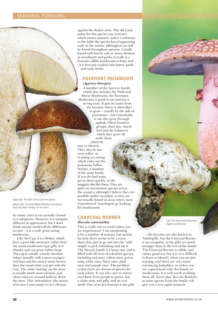 Home Farmer Magazine Preview Pages