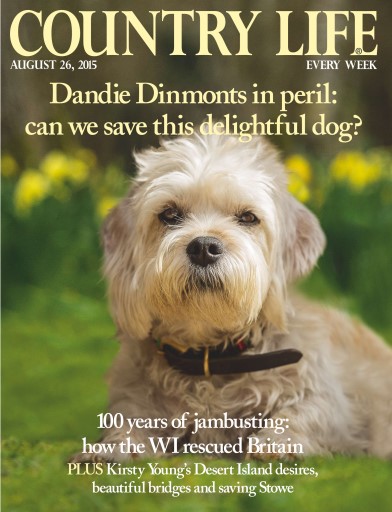 Country Life issue 
