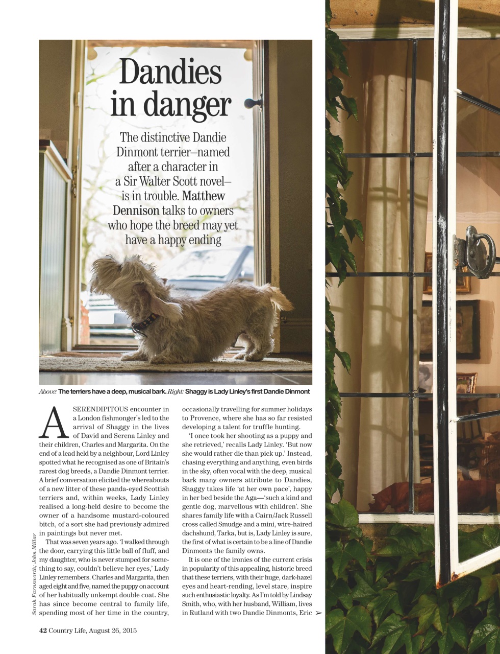 Country Life Preview Pages