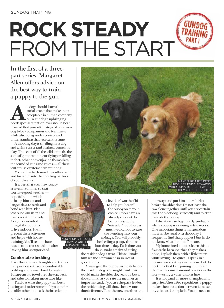 Shooting Times & Country Preview Pages