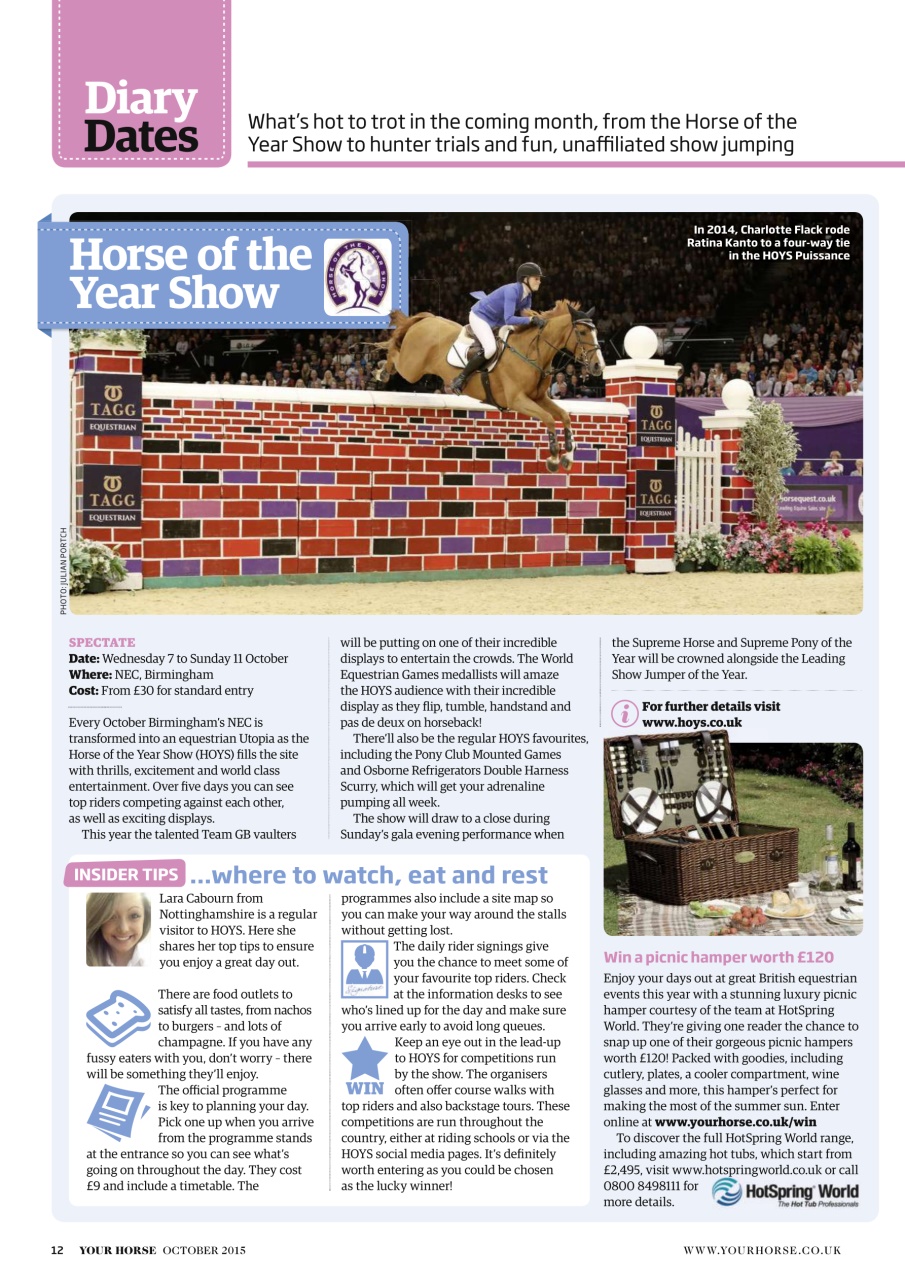 Your Horse Preview Pages