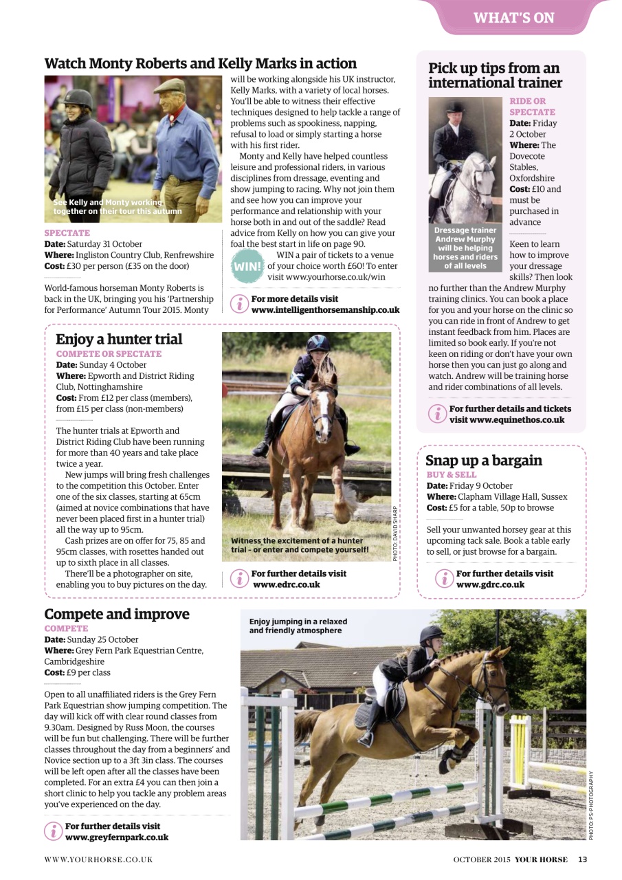 Your Horse Preview Pages