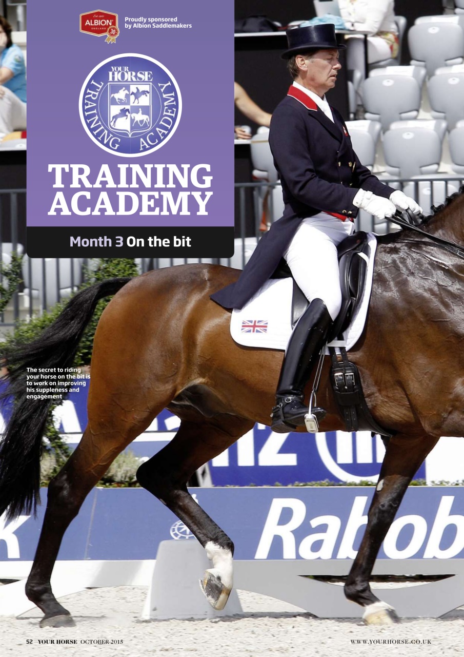 Your Horse Preview Pages