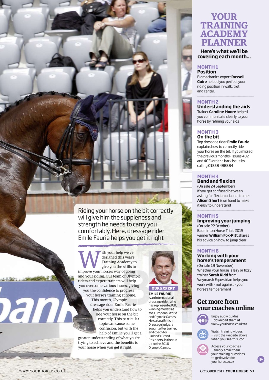 Your Horse Preview Pages